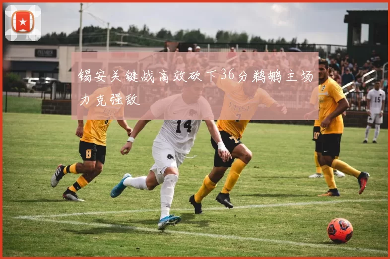 锡安关键战高效砍下36分鹈鹕主场力克强敌