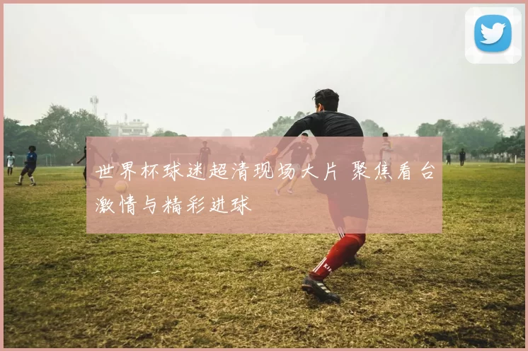 世界杯球迷超清现场大片 聚焦看台激情与精彩进球
