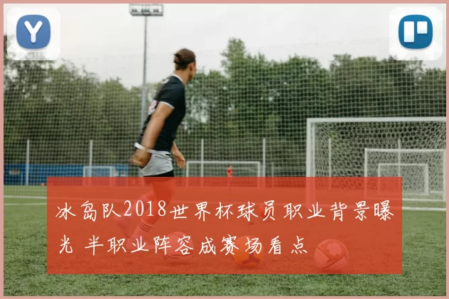 冰岛队2018世界杯球员职业背景曝光 半职业阵容成赛场看点