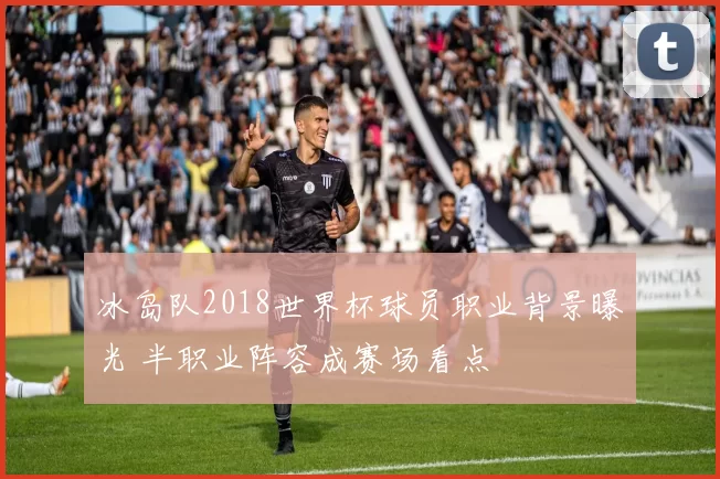 冰岛队2018世界杯球员职业背景曝光 半职业阵容成赛场看点