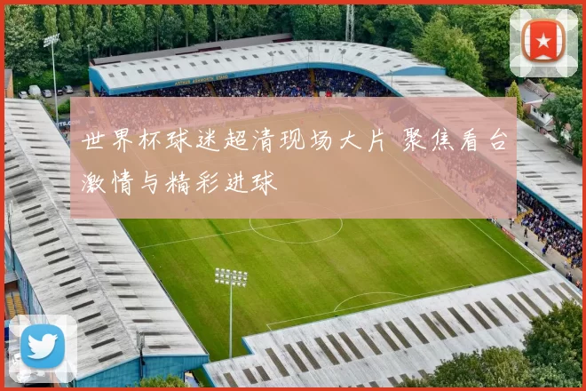 世界杯球迷超清现场大片 聚焦看台激情与精彩进球