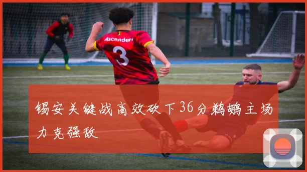 锡安关键战高效砍下36分鹈鹕主场力克强敌