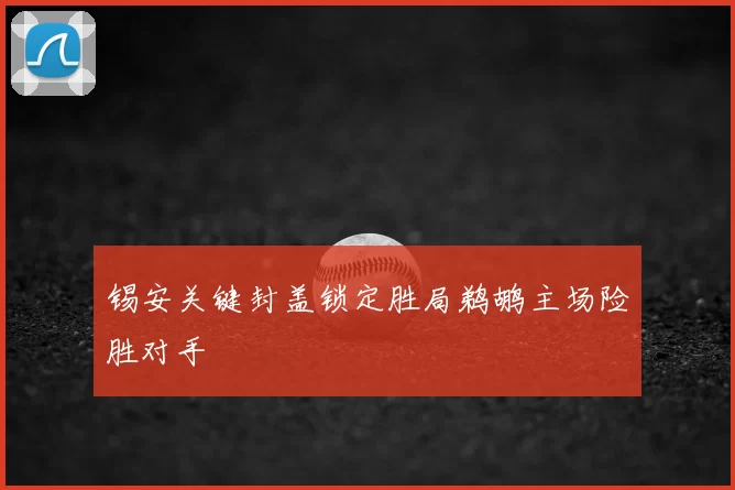 锡安关键封盖锁定胜局鹈鹕主场险胜对手